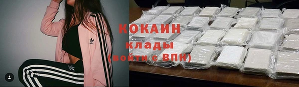 гидра Алексин