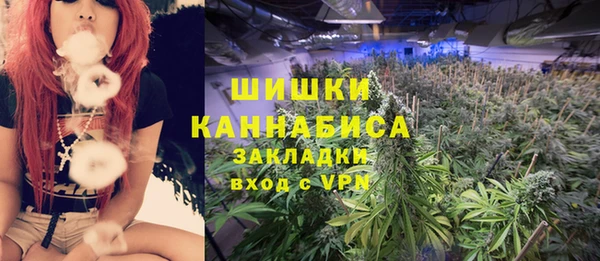 молекула духа Алзамай