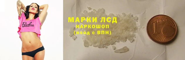 гидра Алексин