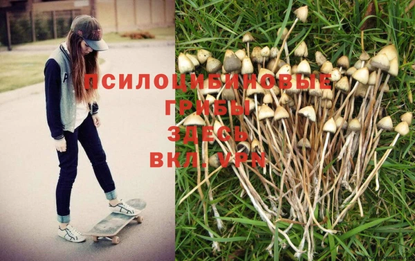 spice Алексеевка