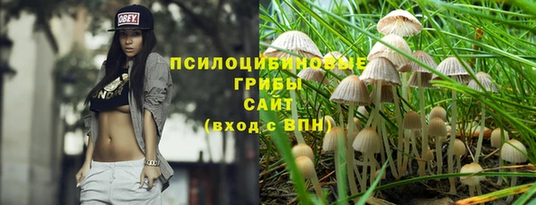 spice Алексеевка