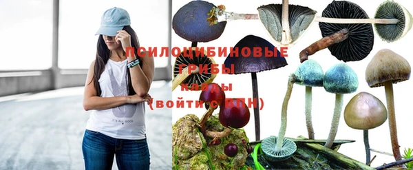 spice Алексеевка