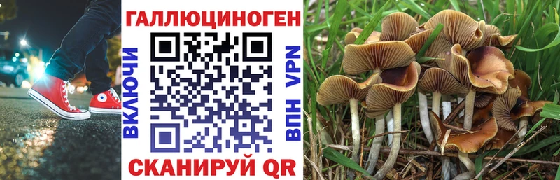 Галлюциногенные грибы Cubensis  Ялуторовск 