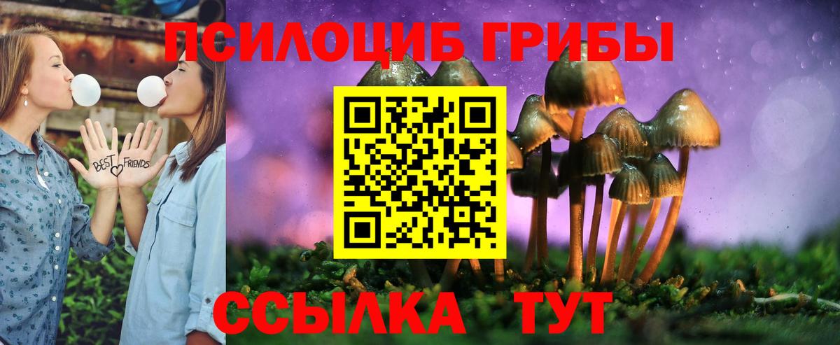 Ялуторовск  Псилоцибиновые грибы Psilocybine cubensis  Вход с VPN  Псилоцибиновые грибы мухоморы 